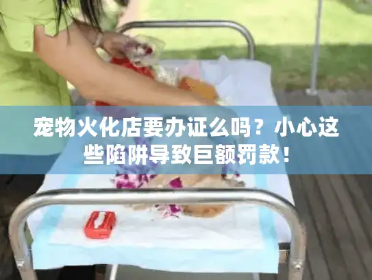 宠物火化店要办证么吗？小心这些陷阱导致巨额罚款！