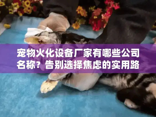 宠物火化设备厂家有哪些公司名称？告别选择焦虑的实用路径