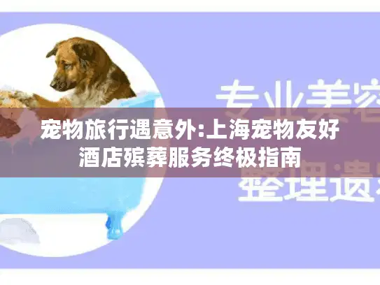宠物旅行遇意外:上海宠物友好酒店殡葬服务终极指南
