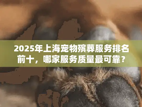 2025年上海宠物殡葬服务排名前十，哪家服务质量最可靠？