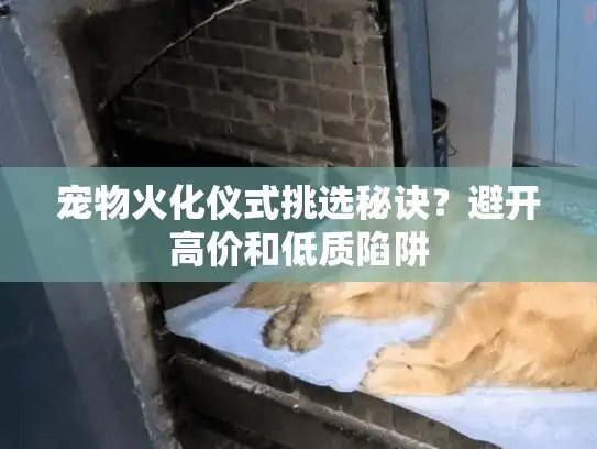 宠物火化仪式挑选秘诀？避开高价和低质陷阱