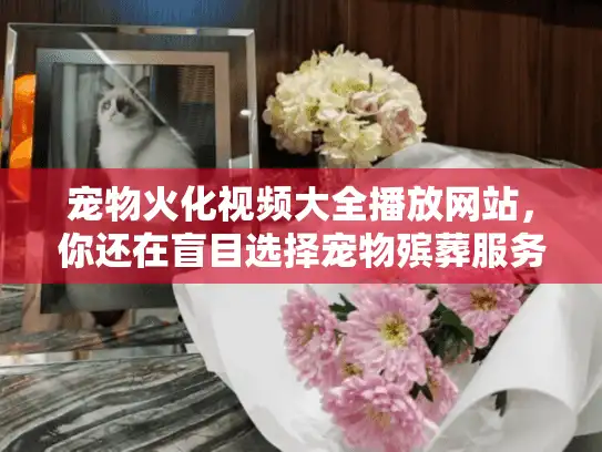宠物火化视频大全播放网站，你还在盲目选择宠物殡葬服务吗？