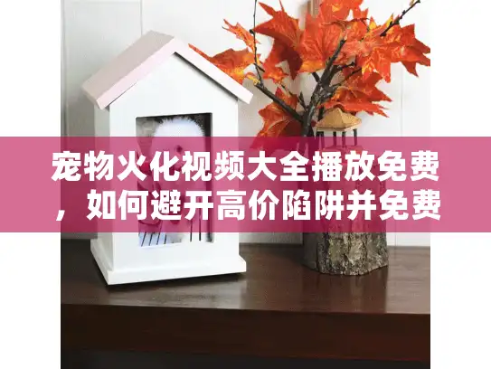 宠物火化视频大全播放免费，如何避开高价陷阱并免费观看全程？