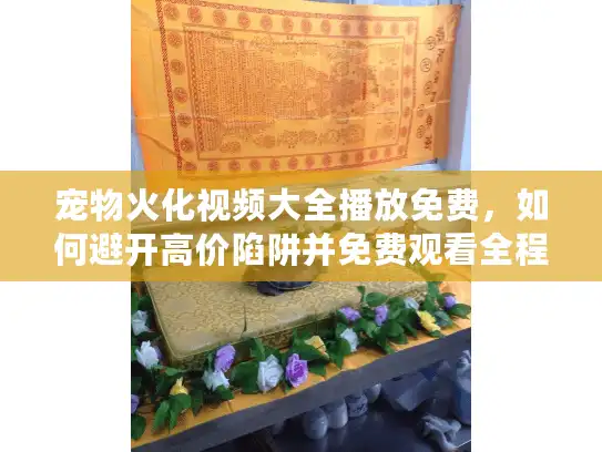 宠物火化视频大全播放免费，如何避开高价陷阱并免费观看全程？