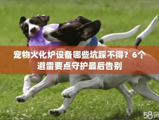 宠物火化炉设备哪些坑踩不得？6个避雷要点守护最后告别
