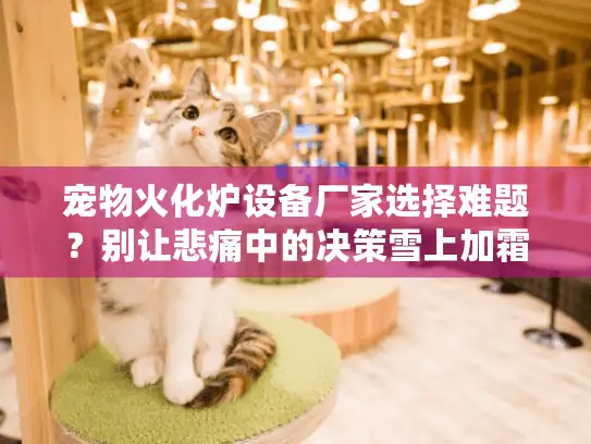 宠物火化炉设备厂家选择难题？别让悲痛中的决策雪上加霜