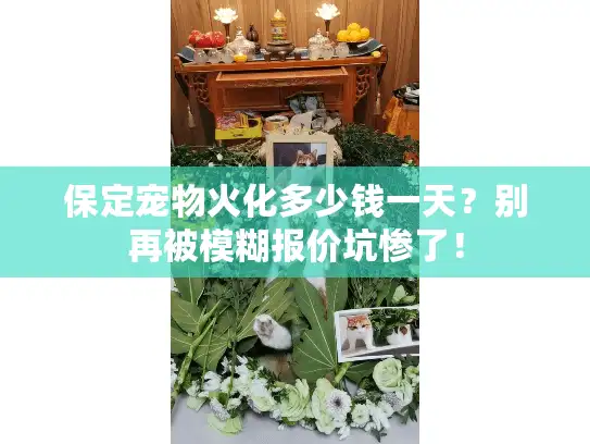 保定宠物火化多少钱一天？别再被模糊报价坑惨了！