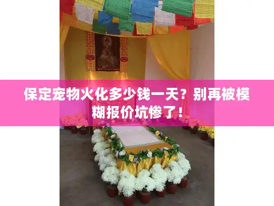 保定宠物火化多少钱一天？别再被模糊报价坑惨了！