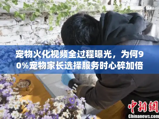 宠物火化视频全过程曝光，为何90%宠物家长选择服务时心碎加倍？
