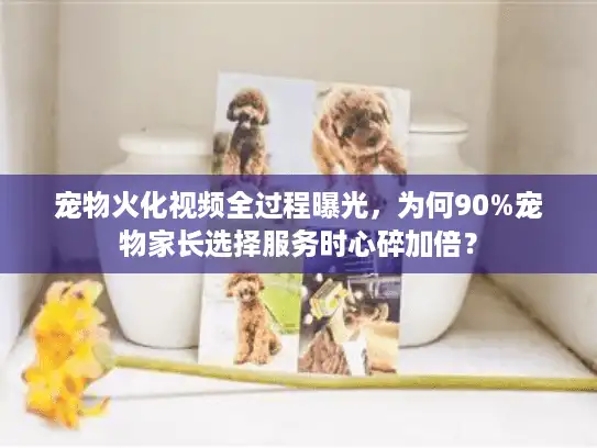 宠物火化视频全过程曝光，为何90%宠物家长选择服务时心碎加倍？