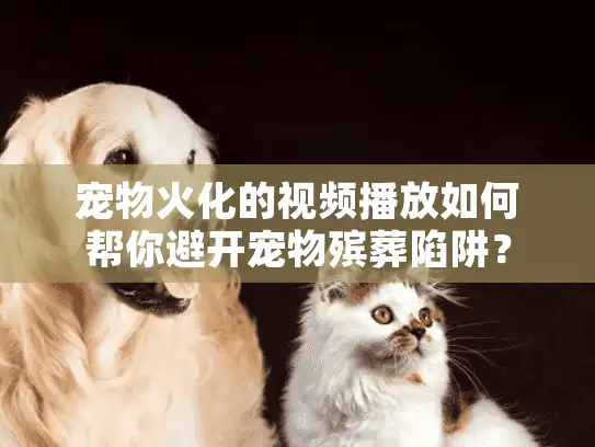 宠物火化的视频播放如何帮你避开宠物殡葬陷阱？