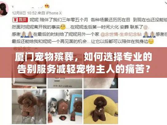 厦门宠物殡葬，如何选择专业的告别服务减轻宠物主人的痛苦？