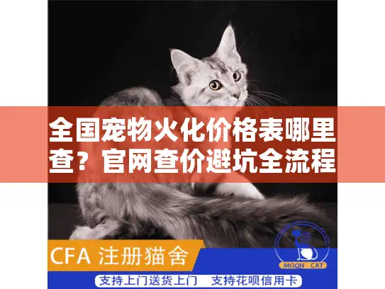 全国宠物火化价格表哪里查？官网查价避坑全流程（2025实测）
