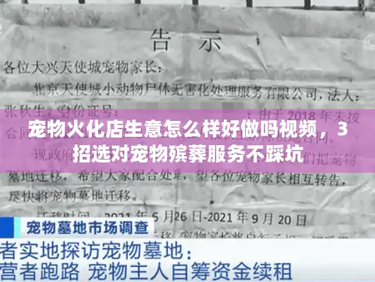 宠物火化店生意怎么样好做吗视频，3招选对宠物殡葬服务不踩坑