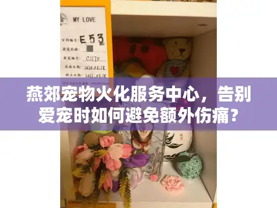 燕郊宠物火化服务中心，告别爱宠时如何避免额外伤痛？