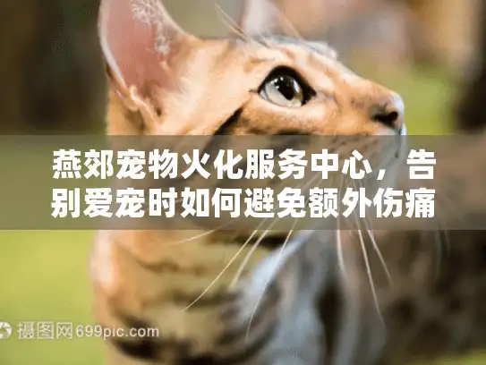燕郊宠物火化服务中心，告别爱宠时如何避免额外伤痛？