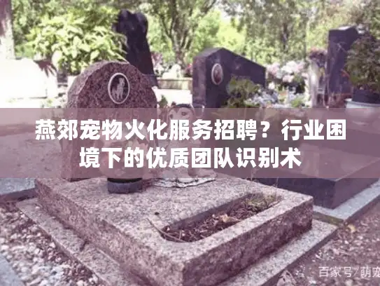 燕郊宠物火化服务招聘？行业困境下的优质团队识别术