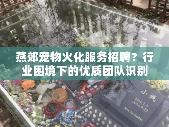 燕郊宠物火化服务招聘？行业困境下的优质团队识别术