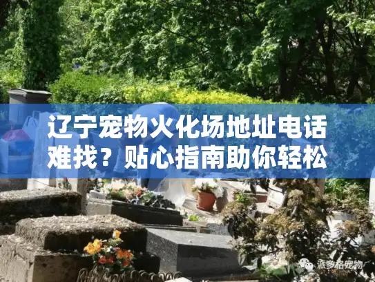 辽宁宠物火化场地址电话难找？贴心指南助你轻松选择