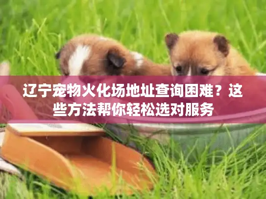 辽宁宠物火化场地址查询困难？这些方法帮你轻松选对服务