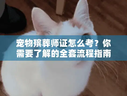 宠物殡葬师证怎么考？你需要了解的全套流程指南