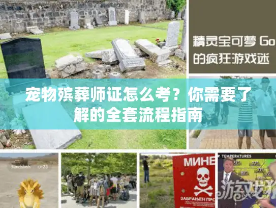 宠物殡葬师证怎么考？你需要了解的全套流程指南