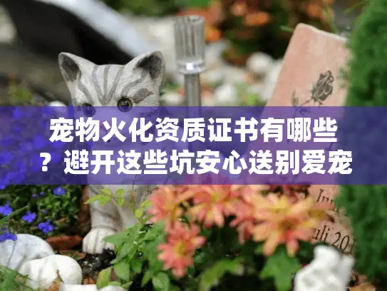 宠物火化资质证书有哪些？避开这些坑安心送别爱宠