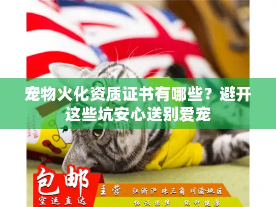 宠物火化资质证书有哪些？避开这些坑安心送别爱宠