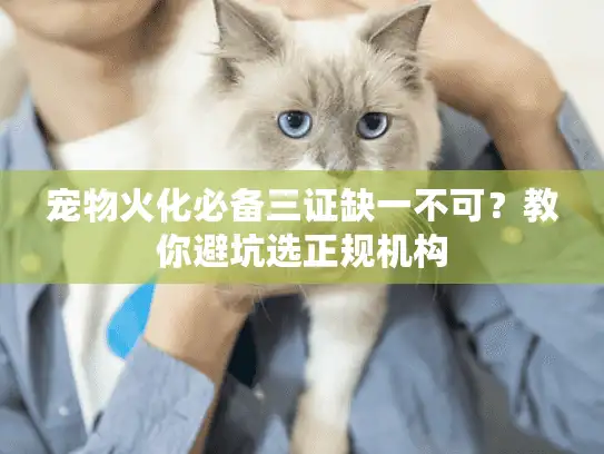 宠物火化必备三证缺一不可？教你避坑选正规机构