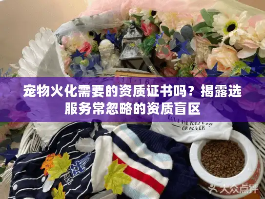 宠物火化需要的资质证书吗？揭露选服务常忽略的资质盲区