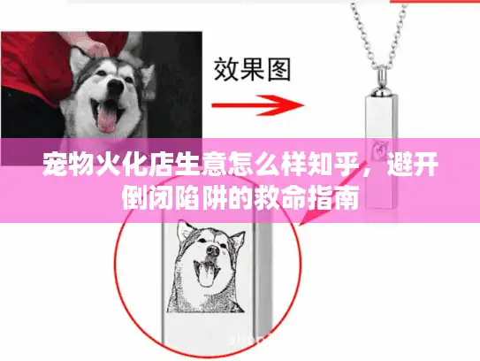 宠物火化店生意怎么样知乎，避开倒闭陷阱的救命指南