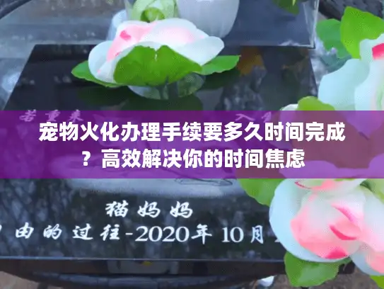 宠物火化办理手续要多久时间完成？高效解决你的时间焦虑