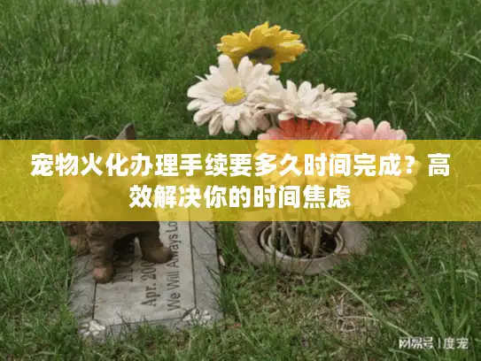 宠物火化办理手续要多久时间完成？高效解决你的时间焦虑