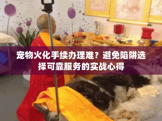 宠物火化手续办理难？避免陷阱选择可靠服务的实战心得