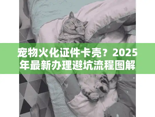 宠物火化证件卡壳？2025年最新办理避坑流程图解