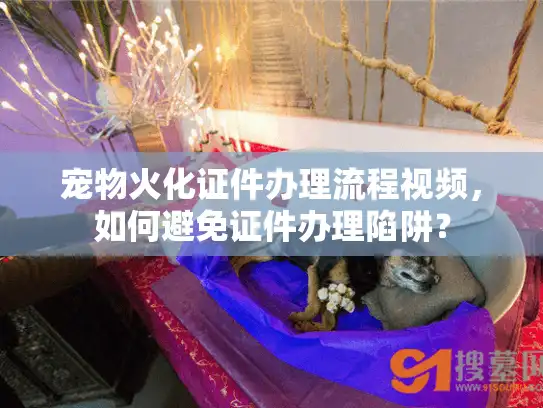 宠物火化证件办理流程视频，如何避免证件办理陷阱？