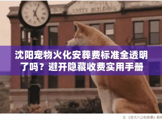 沈阳宠物火化安葬费标准全透明了吗？避开隐藏收费实用手册
