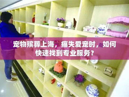 宠物殡葬上海，痛失爱宠时，如何快速找到专业服务？