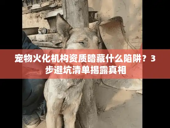 宠物火化机构资质暗藏什么陷阱？3步避坑清单揭露真相
