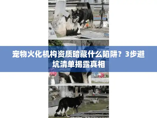 宠物火化机构资质暗藏什么陷阱？3步避坑清单揭露真相