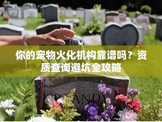 你的宠物火化机构靠谱吗？资质查询避坑全攻略