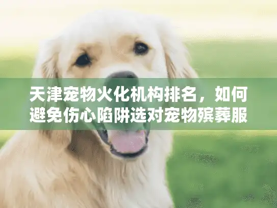 天津宠物火化机构排名，如何避免伤心陷阱选对宠物殡葬服务？