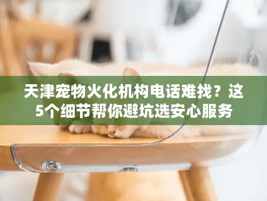 天津宠物火化机构电话难找？这5个细节帮你避坑选安心服务