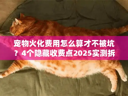 宠物火化费用怎么算才不被坑？4个隐藏收费点2025实测拆解
