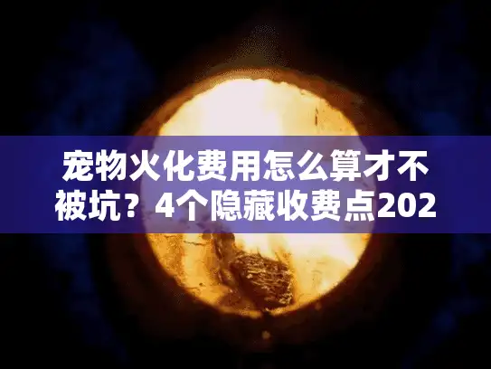 宠物火化费用怎么算才不被坑？4个隐藏收费点2025实测拆解