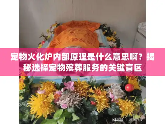 宠物火化炉内部原理是什么意思啊？揭秘选择宠物殡葬服务的关键盲区