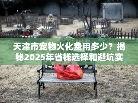 天津市宠物火化费用多少？揭秘2025年省钱选择和避坑实战