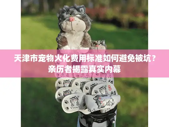 天津市宠物火化费用标准如何避免被坑？亲历者揭露真实内幕