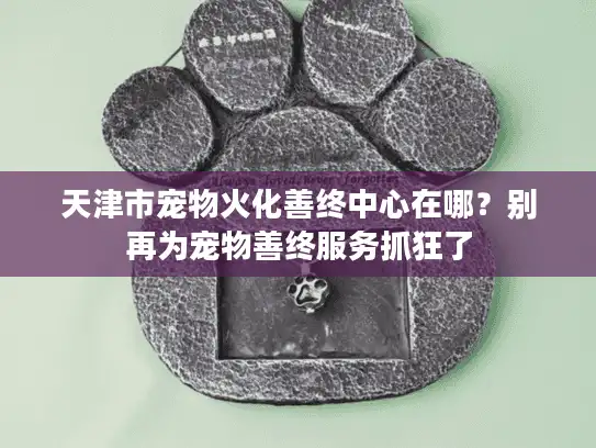 天津市宠物火化善终中心在哪？别再为宠物善终服务抓狂了