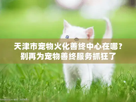 天津市宠物火化善终中心在哪？别再为宠物善终服务抓狂了